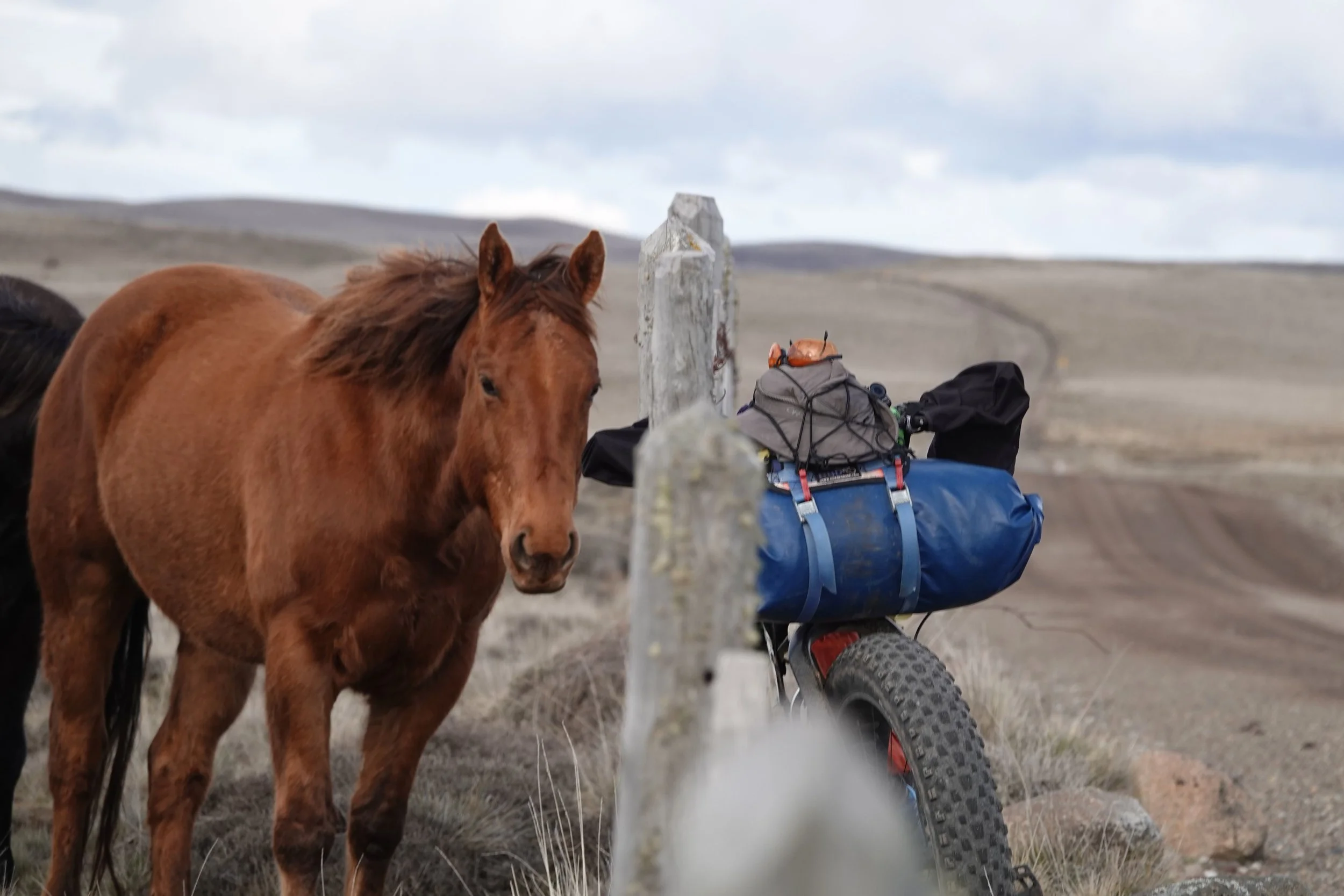 Chile: To The Carretera Austral