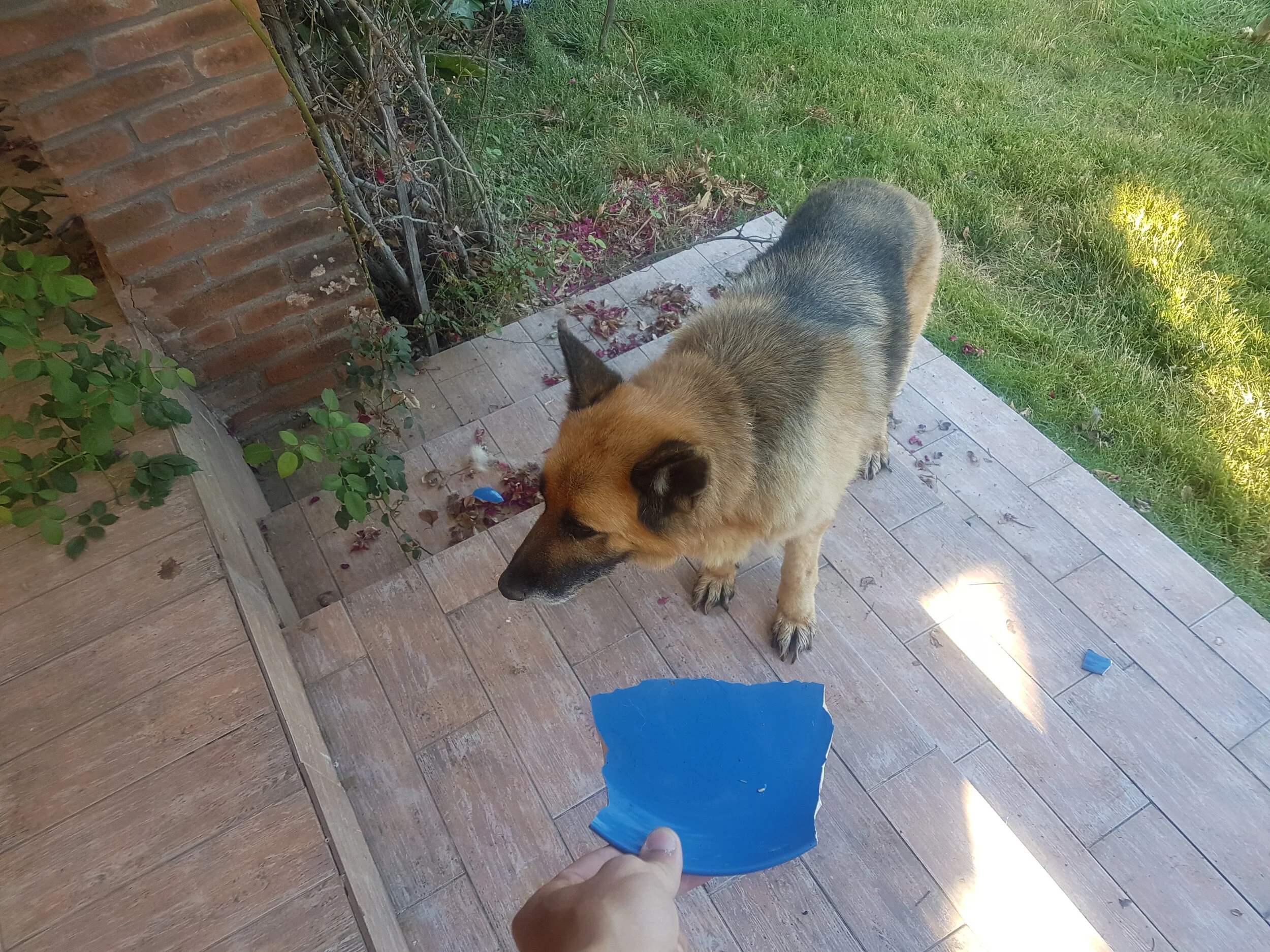 20191220_081912.jpg
