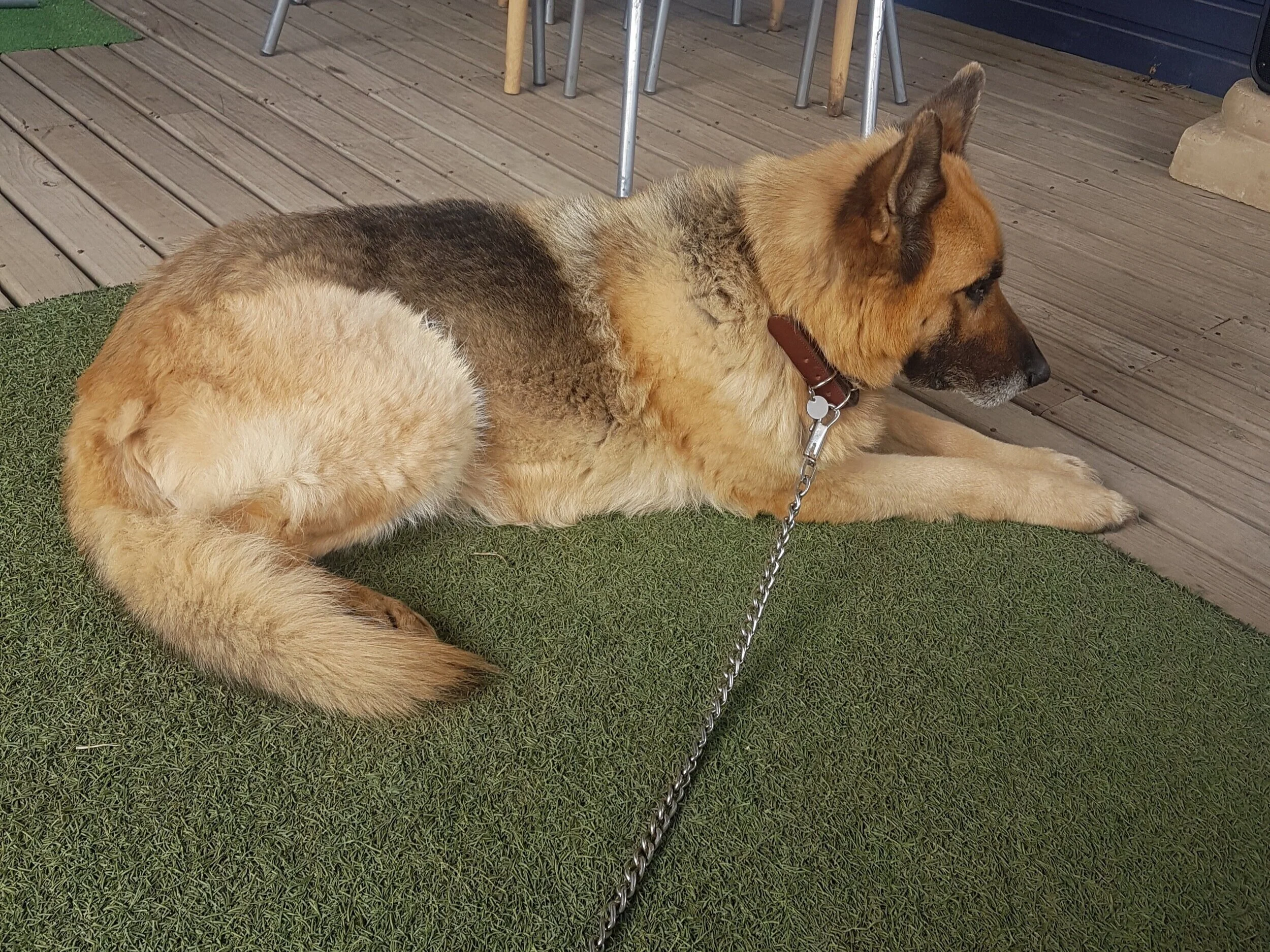 20190927_145609.jpg