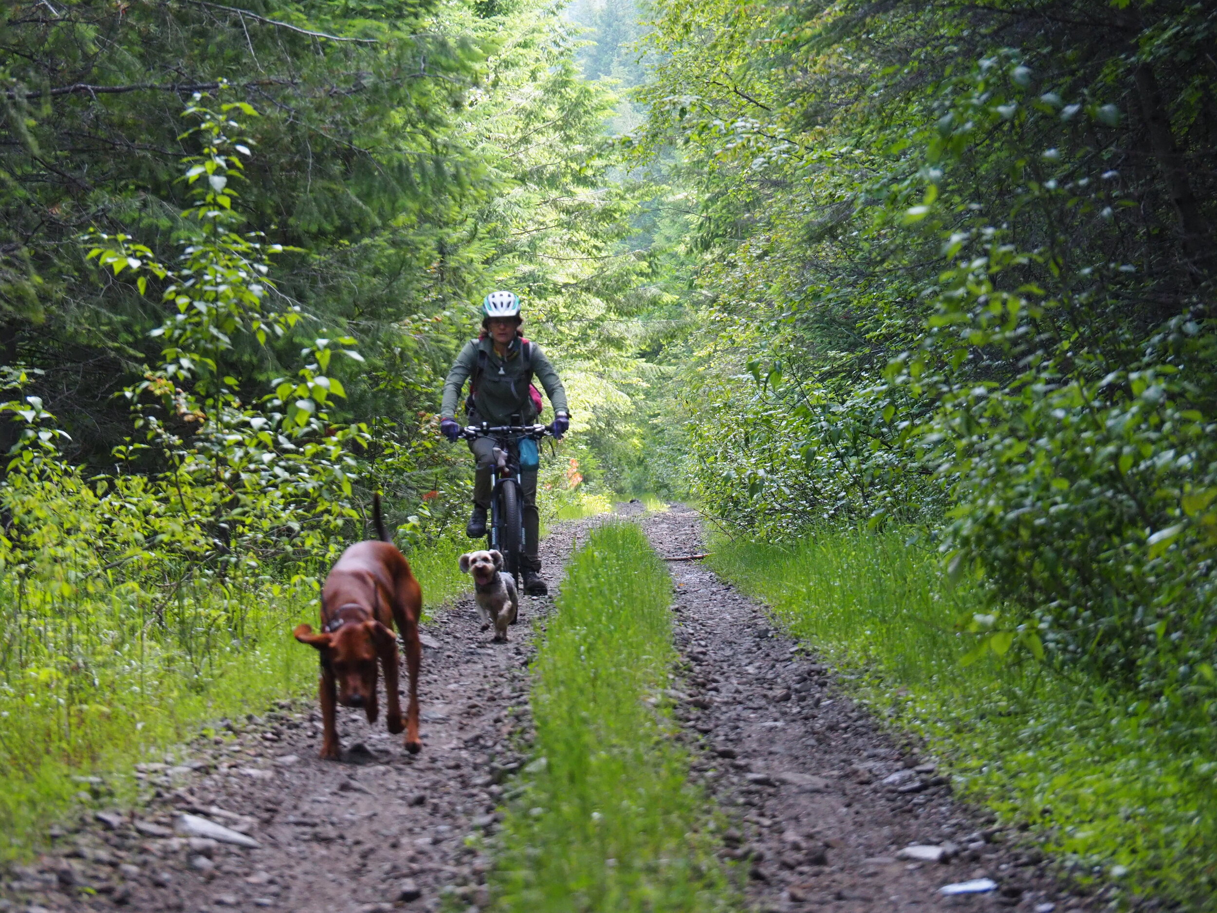 Columbia &amp; Western and meeting up with Hounddog and the pack
