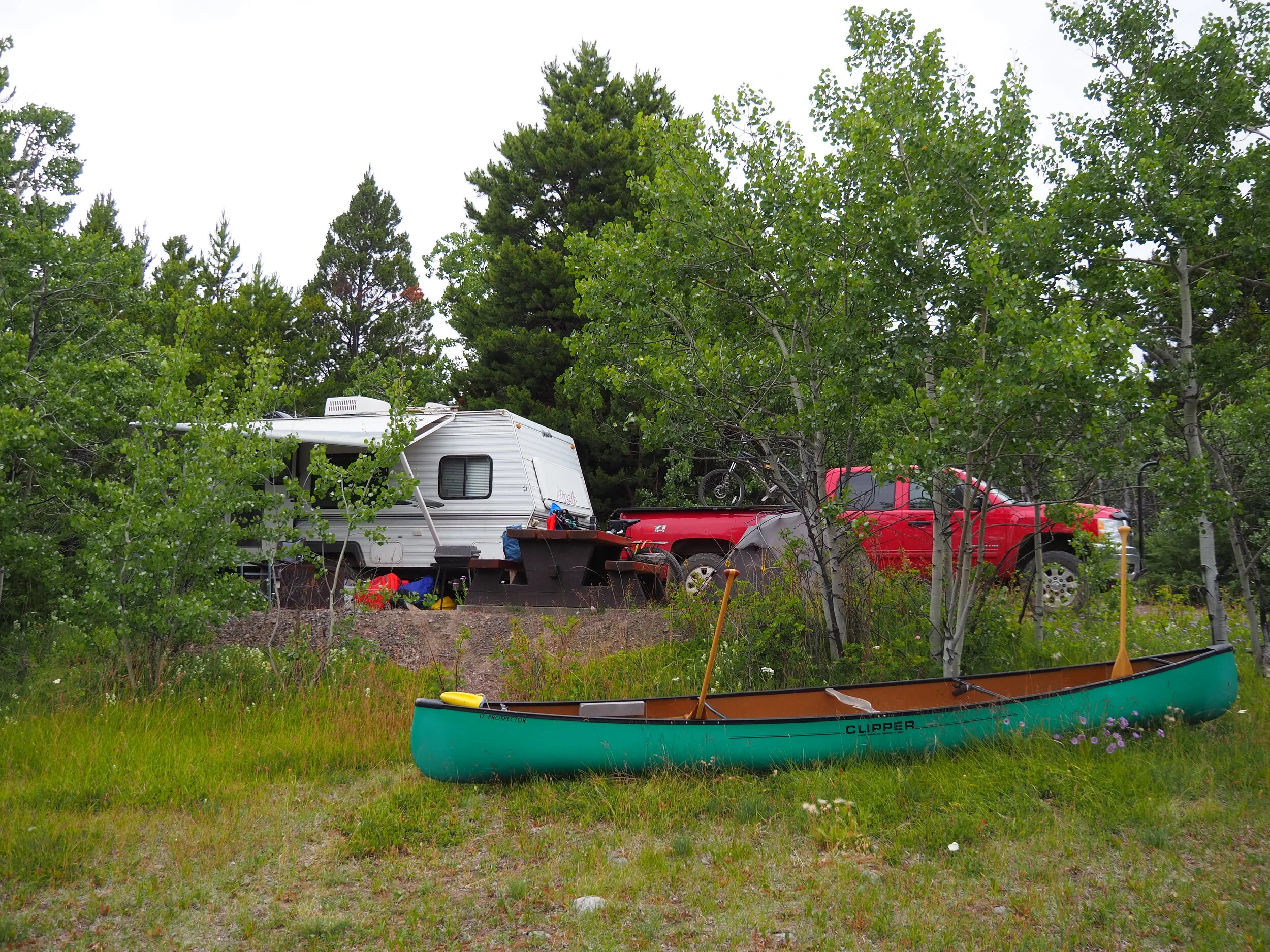 that trailer has seen decades of bush/siviculture prep work but I was still a little hesitant when Darren said he’ll drive it out here. .