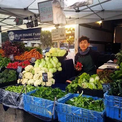 daniel-market.jpg