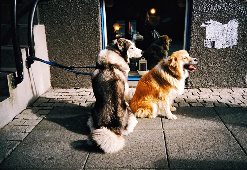421_000015.JPG