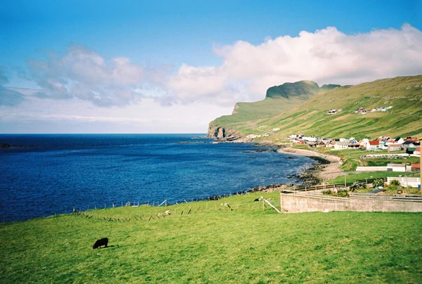 265_000014.JPG
