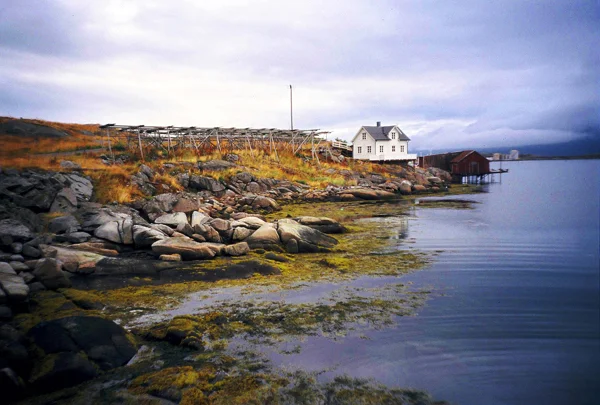 243_000042.JPG