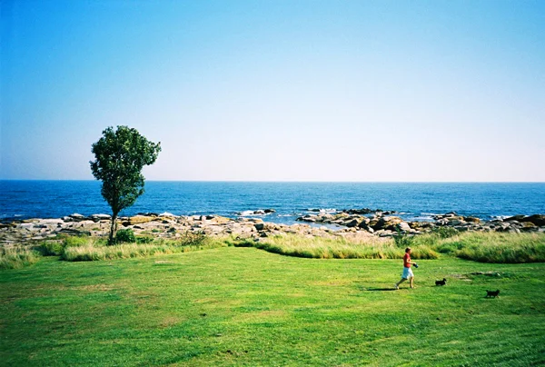 284_000021.JPG