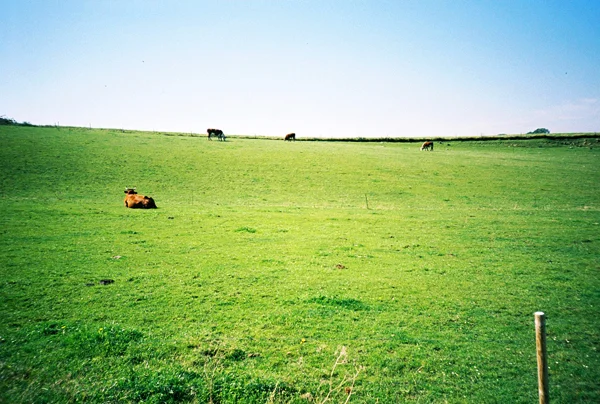 284_000033.JPG