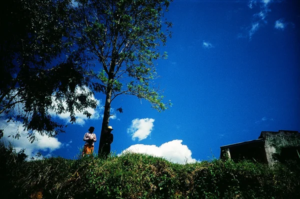 186_91410004.JPG