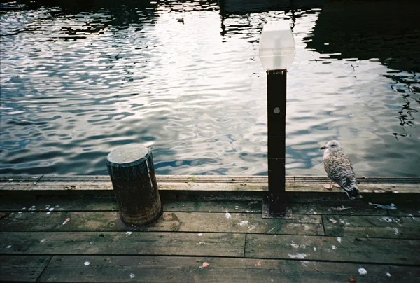 239_000018.JPG