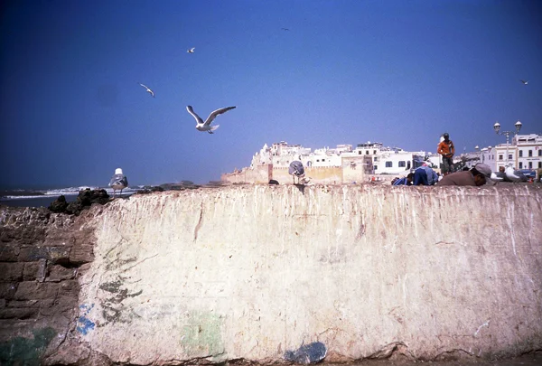 331_000008.JPG