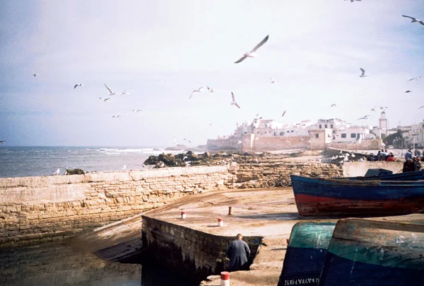 337_000010.JPG
