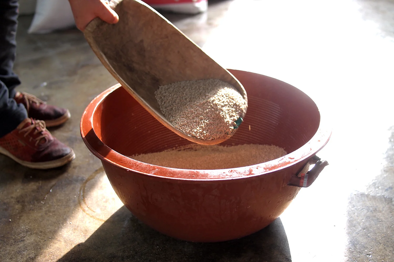 Those round-shape vessel are the main components of product making process. The typeface has been shaped around them.