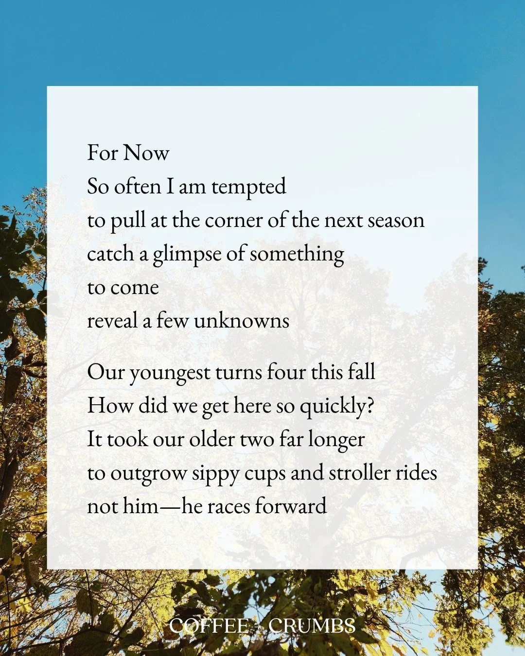 For Now
So often I am tempted 
to pull at the corner of the next season
catch a glimpse of something 
to come 
reveal a few unknowns

Our youngest turns four this fall
How did we get here so quickly?
It took our older two far longer 
to outgrow sippy