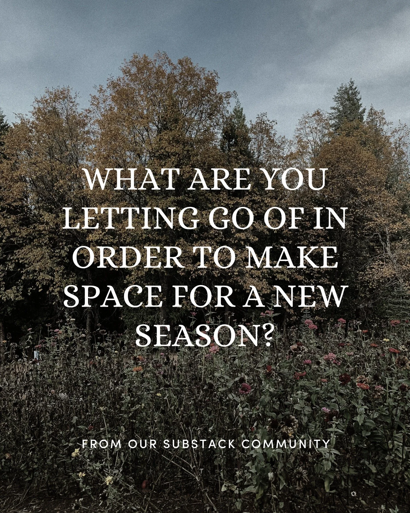 What are you letting go of right now to make space for a new season? 🌿

Over on Substack, we asked our community that very question, and the responses were thoughtful and so relatable.

These reflections remind us how much we all have in common&mdas