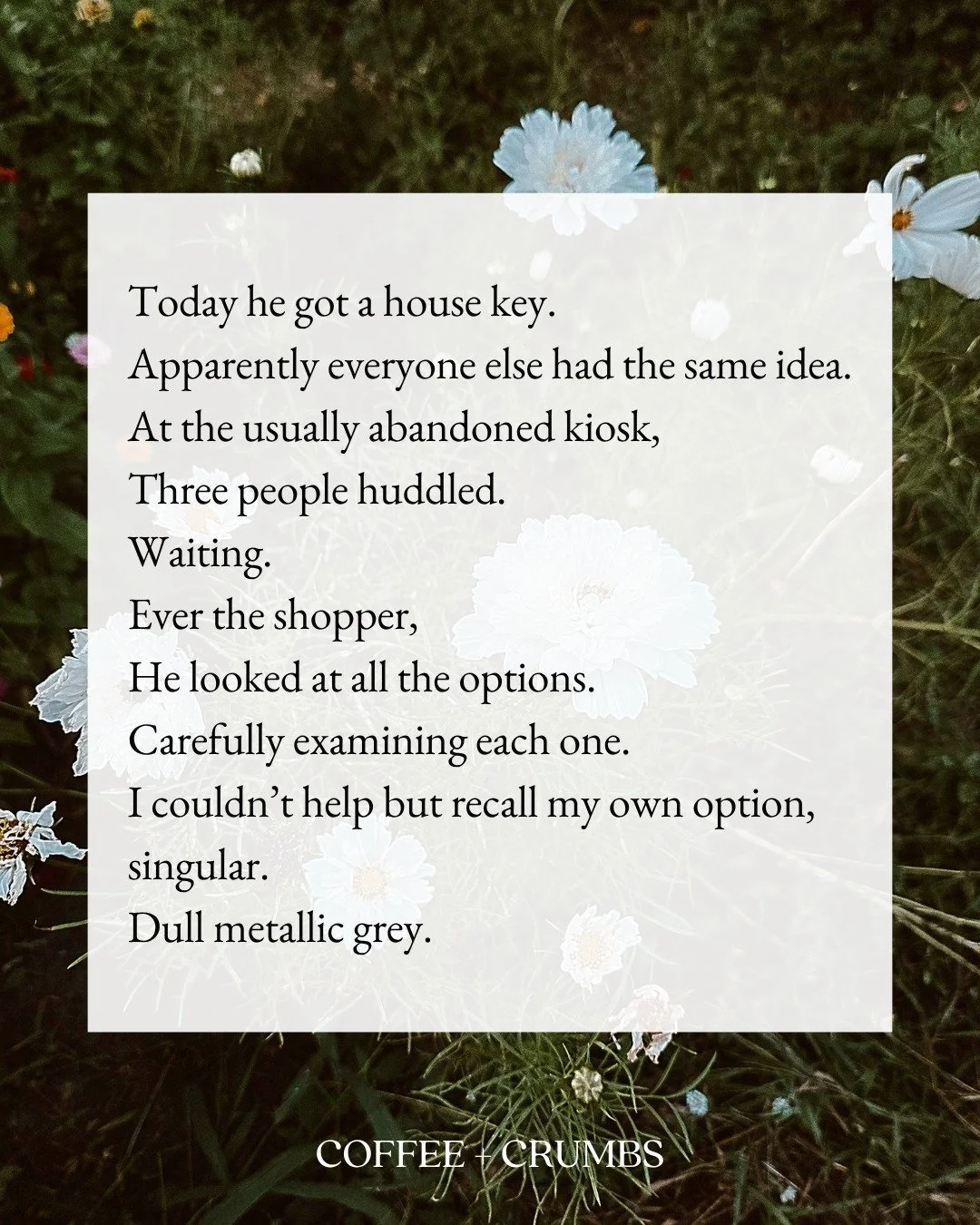 Today he got a house key.
Apparently everyone else had the same idea.
At the usually abandoned kiosk,
Three people huddled.
Waiting.
Ever the shopper,
He looked at all the options.
Carefully examining each one.
I couldn’t help but recall my own