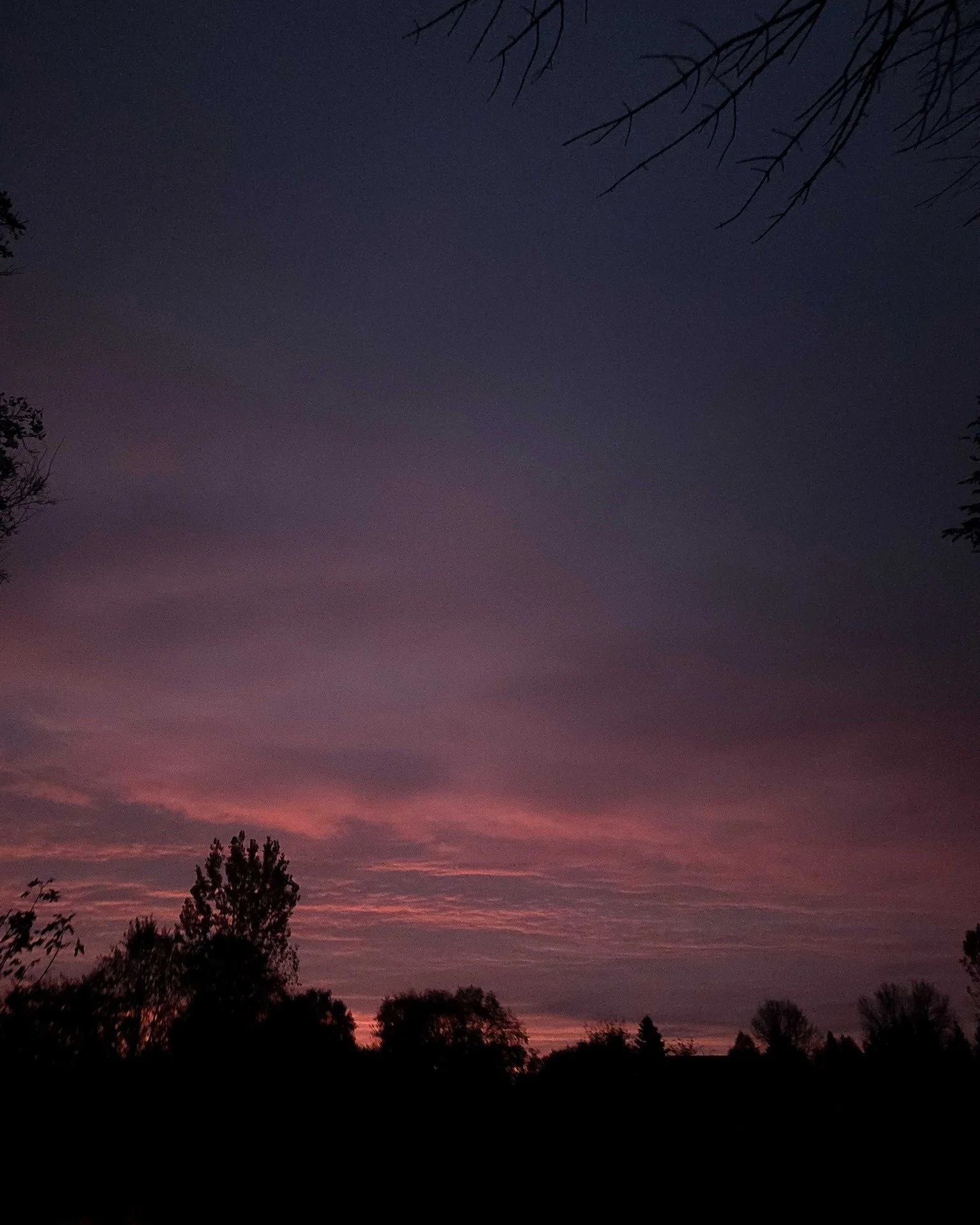 I tuck my three year old into bed with her tangled braids, princess nightgown, and about 25 plush animals tucked around her tiny body. All innocence, purity, and joy with a newfound fear of monsters and goblins (thanks a lot, Halloween). We recap the