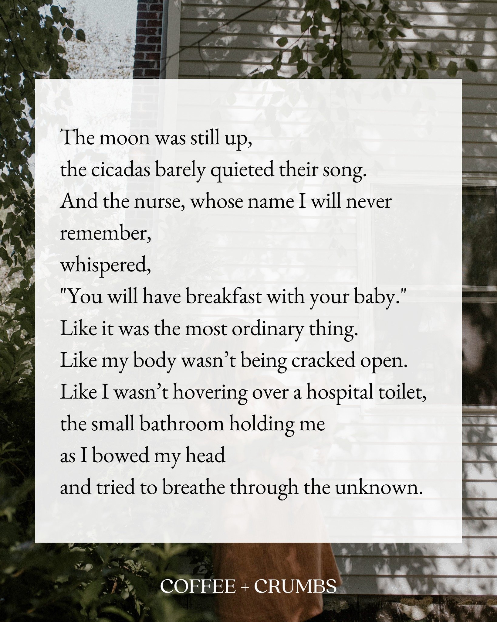 The moon was still up,
the cicadas barely quieted their song.
And the nurse, whose name I will never remember,
whispered,
&quot;You will have breakfast with your baby.&quot;
Like it was the most ordinary thing.
Like my body wasn&rsquo;t being cracked