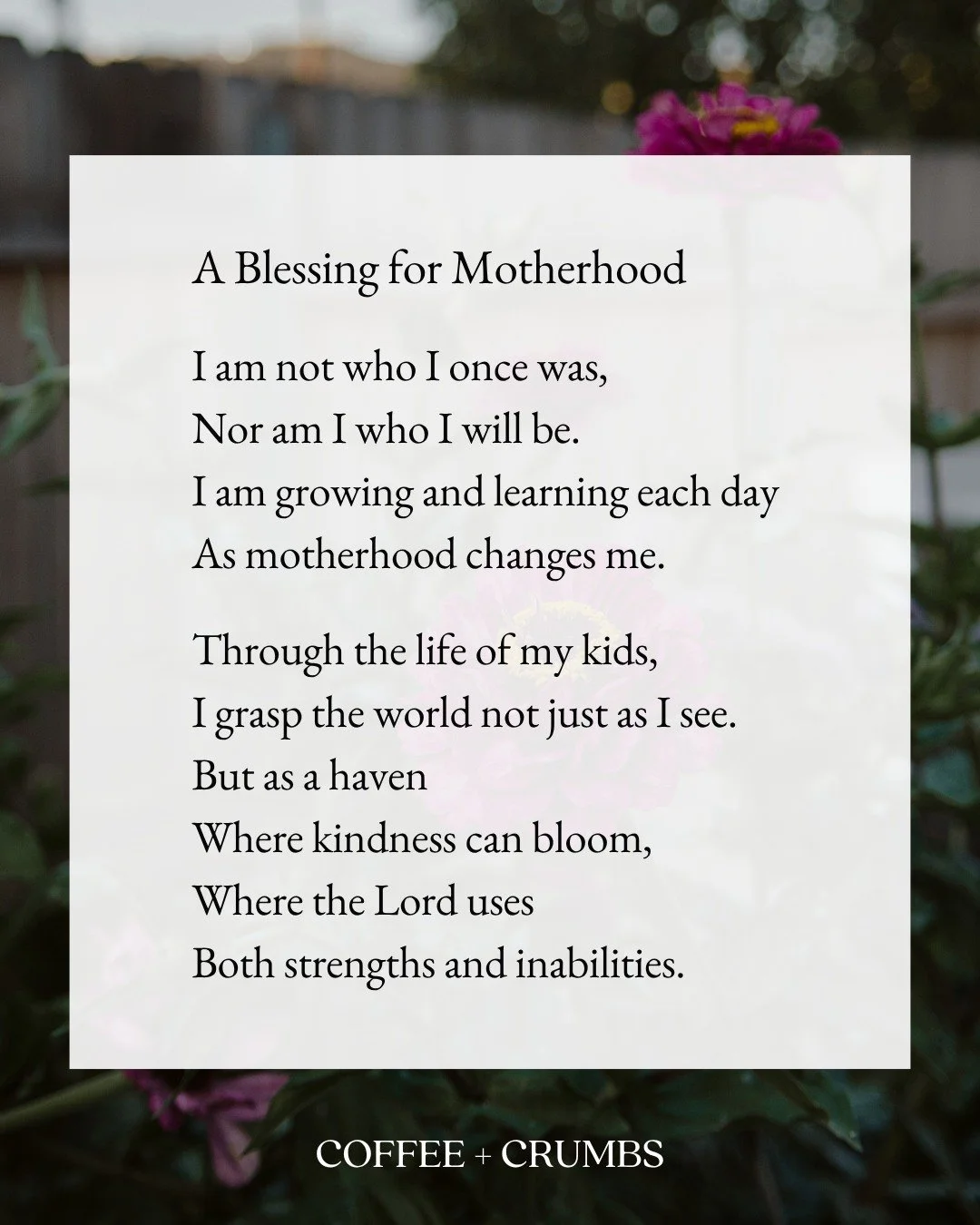 A BLESSING FOR MOTHERHOOD

I am not who I once was,
Nor am I who I will be.
I am growing and learning each day
As motherhood changes me.

Through the life of my kids,
I grasp the world not just as I see.
But as a haven
Where kindness can bloom,
Where
