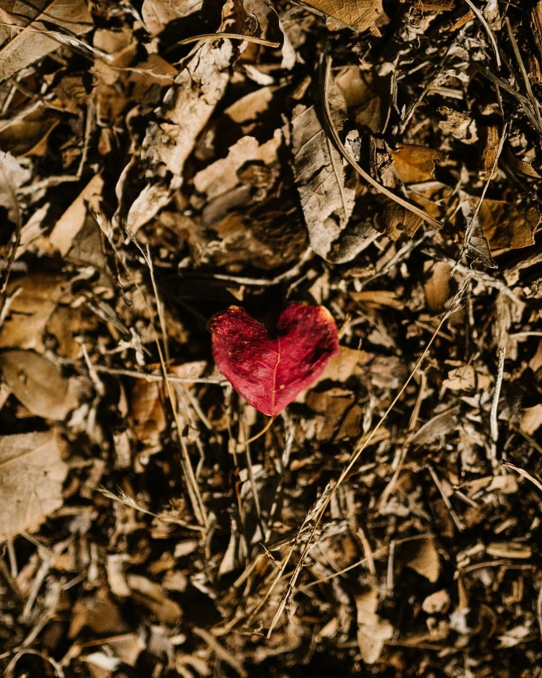 Look what I found:⁣
An old blue sticker
with the number &ldquo;90&rdquo; on it.

No way! Really?
I still find those, too.
Which move was it?

I think it was our second.
By far the hardest one.

Guess what?
I vacuumed up a boot tie.
Glad the baby didn