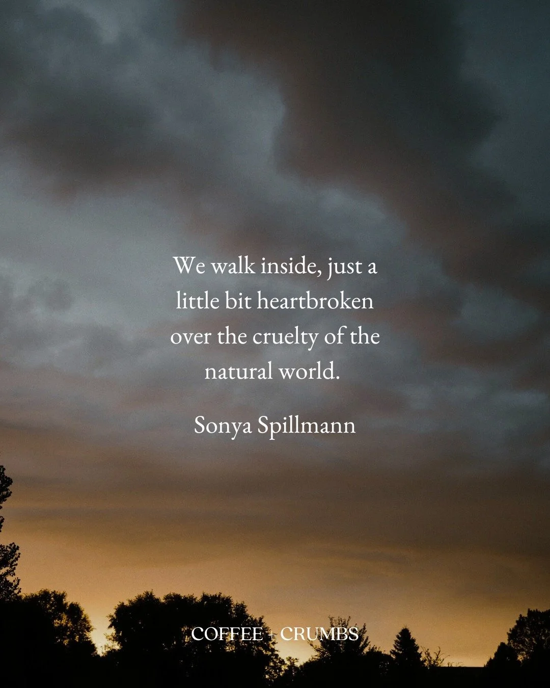 I spend too much time looking out the small window in our side door the rest of the afternoon, watching the box with the nest for any sign of a bird flying in or out. The next day, we leave for church and the baby birds are still chirping. I haven&rs