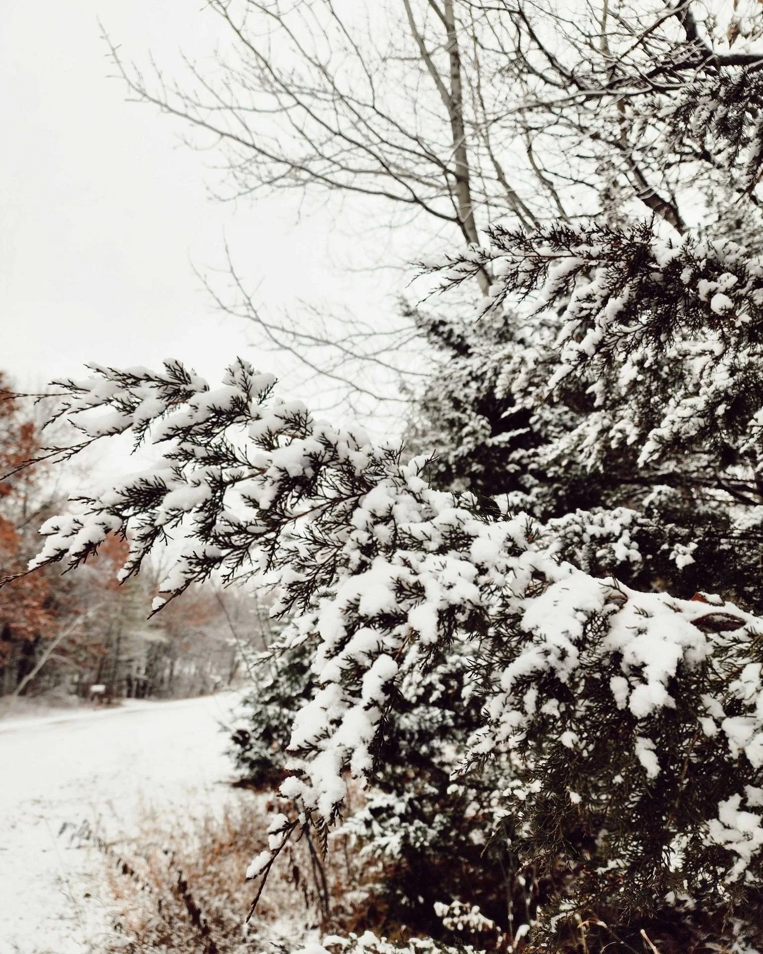 I&rsquo;m coming,
hold up.
Wait a minute,
I'm not ready.

You call.
I holler back.
&quot;Wait. A. Minute&quot;

Is it urgent?
I'm in the middle of something,
so let me be done.
Finish, this one thing,
before I come.

I reach you,
&quot;What did I say