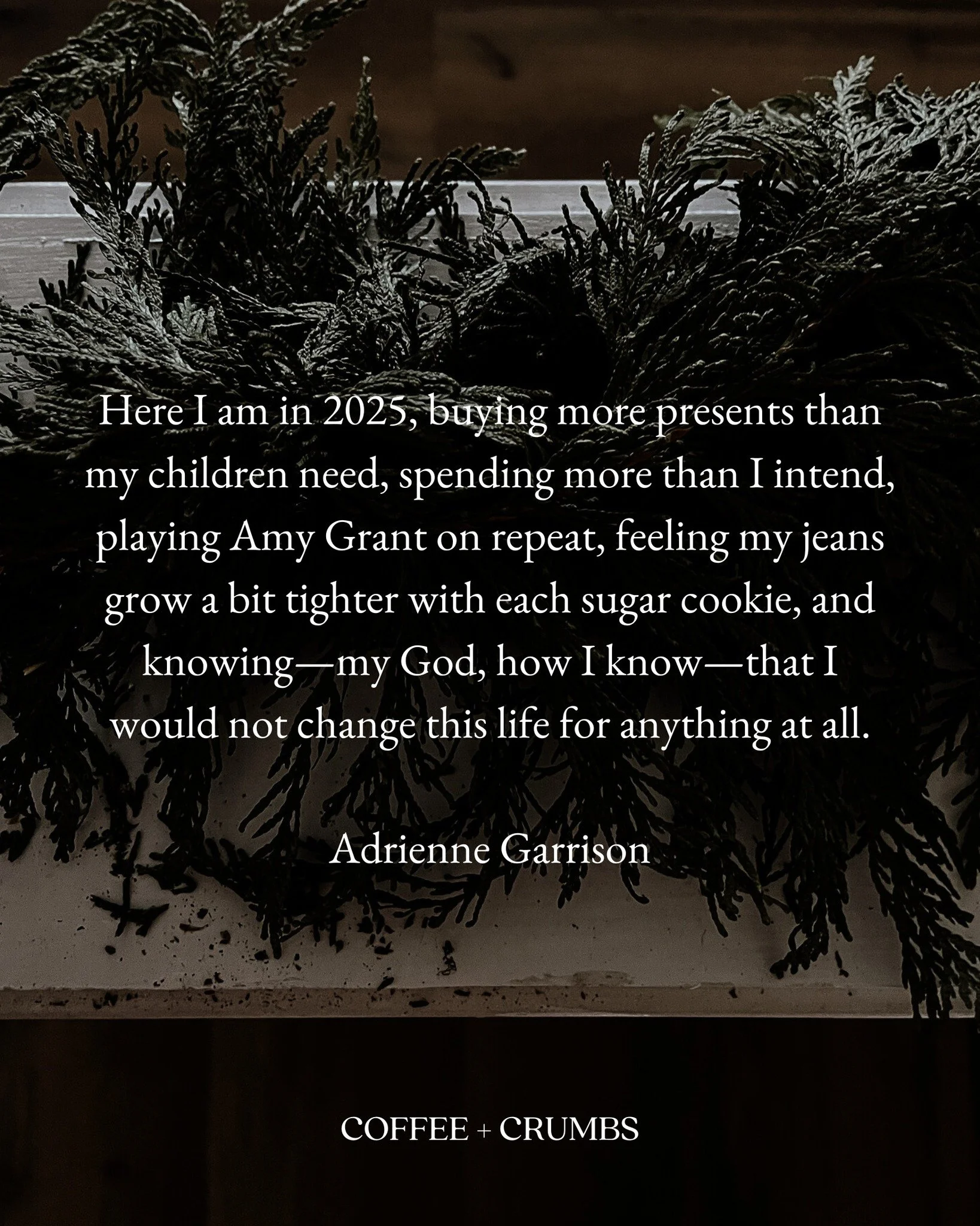 At night, my eyes grow heavy listing gratitudes before bed. Another trip around the sun, that blazingly wonderful star reigning us all in from the vast unknowns of space.

On the day after Christmas, I wait for the moment when they&rsquo;re all occup