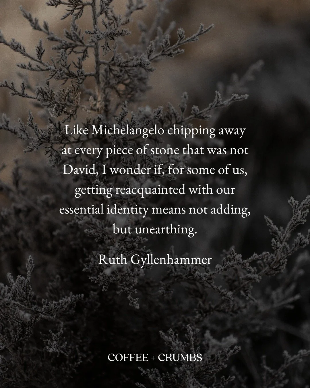 As a woman of a certain age, I&rsquo;ve found my own identity becoming a bit dulled&mdash;weighed heavily with outside pressures, inward expectations, regrets, and seemingly limitless paths to follow. I&rsquo;ve wondered, what does it take to sparkle