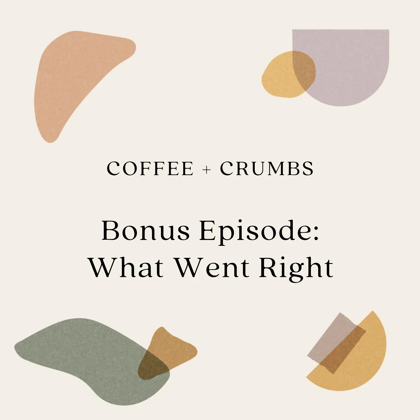 Bonus Episode: What Went Right