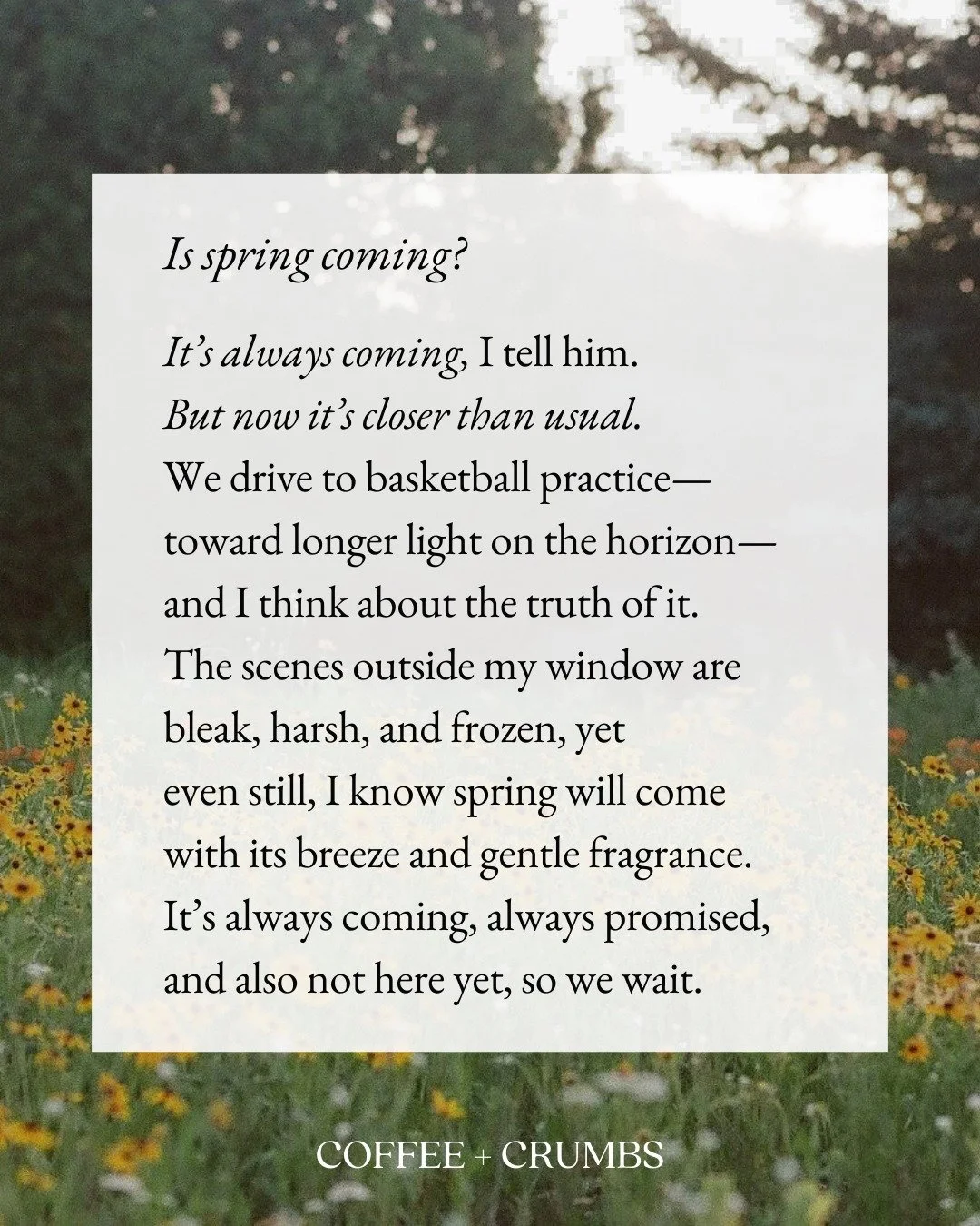 Is spring coming?

It&rsquo;s always coming, I tell him.
But now it&rsquo;s closer than usual.
We drive to basketball practice&mdash;
toward longer light on the horizon&mdash;
and I think about the truth of it.
The scenes outside my window are 
bleak