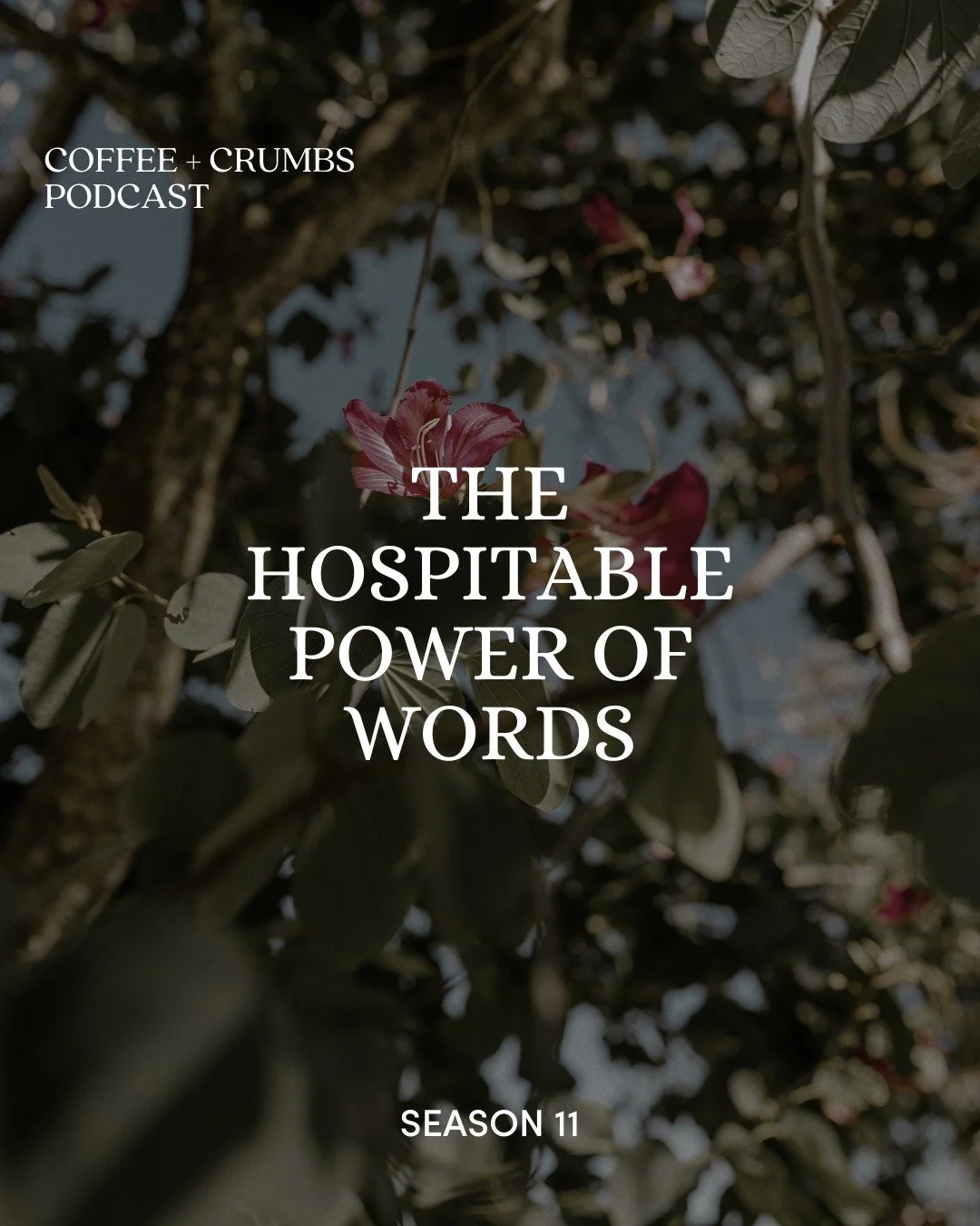 🎙️ Pop in your earbuds. A new podcast episode is here!

Today, we&rsquo;re joined by author @kknowlezeller, who&rsquo;s been thinking (and practicing) what it really looks like to build community one small, intentional step at a time. From lessons l