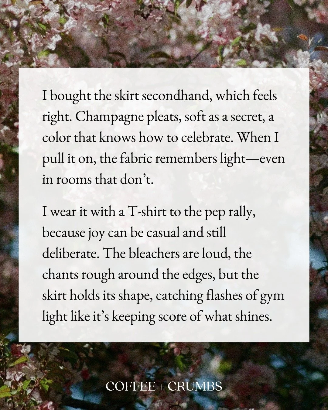 I bought the skirt secondhand, which feels right. Champagne pleats, soft as a secret, a color that knows how to celebrate. When I pull it on, the fabric remembers light&mdash;even in rooms that don&rsquo;t.

I wear it with a T-shirt to the pep rally,