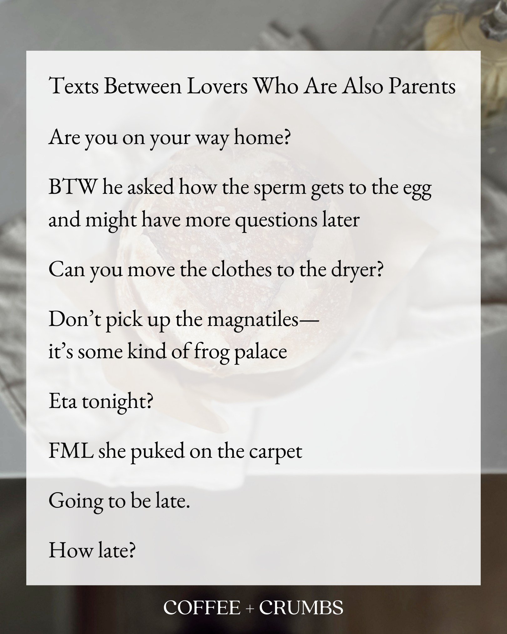 Texts Between Lovers Who Are Also Parents

Are you on your way home?

BTW he asked how the sperm gets to the egg and might have more questions later

Can you move the clothes to the dryer?

Don&rsquo;t pick up the magnatiles&mdash;it&rsquo;s some kin