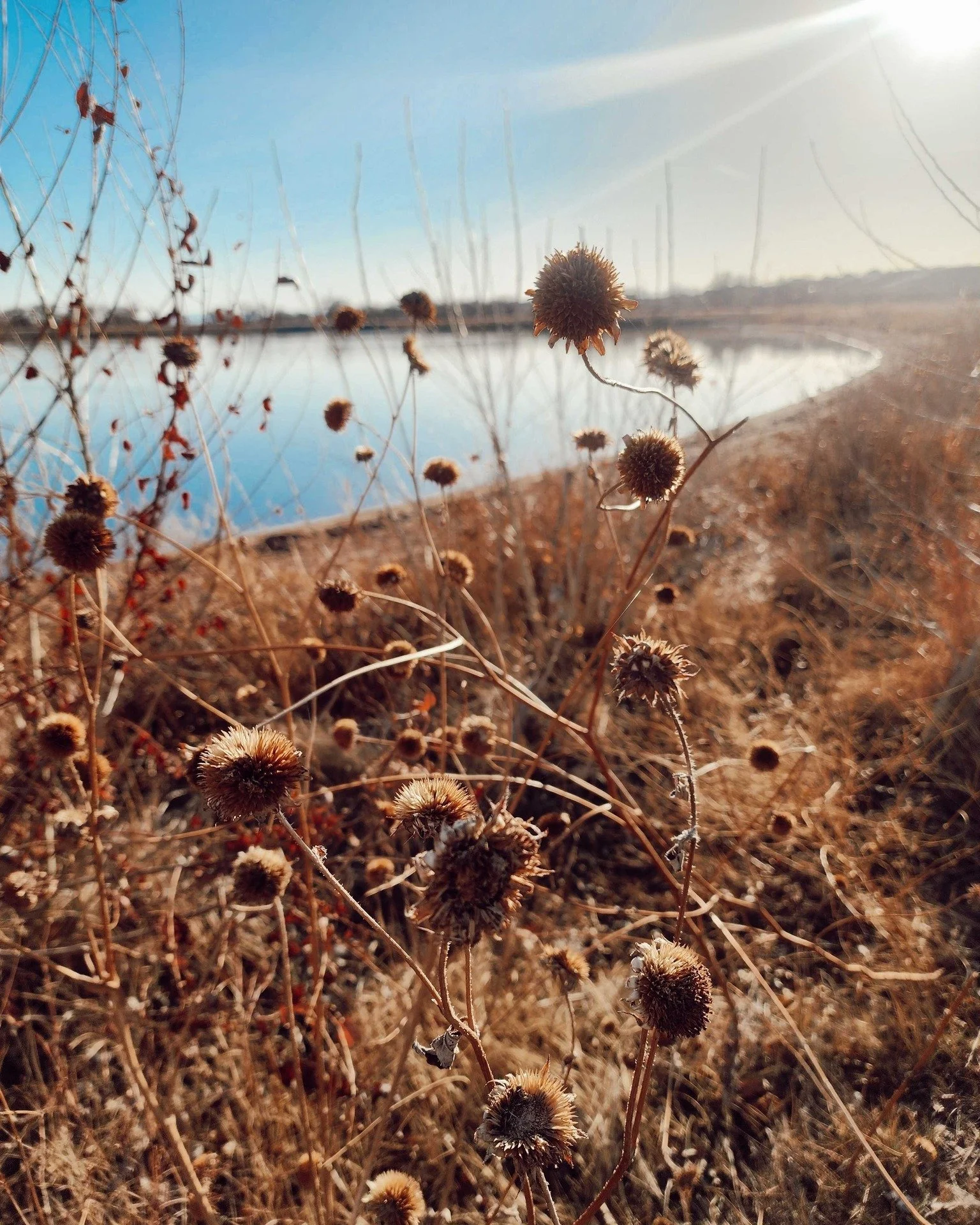 She asked how I was really doing. The emphasis in her voice made it clear she wanted the truth, not a polished version of it. I spent the next ten minutes spilling my guts about how hard postpartum had been, about the weight I couldn&rsquo;t quite na