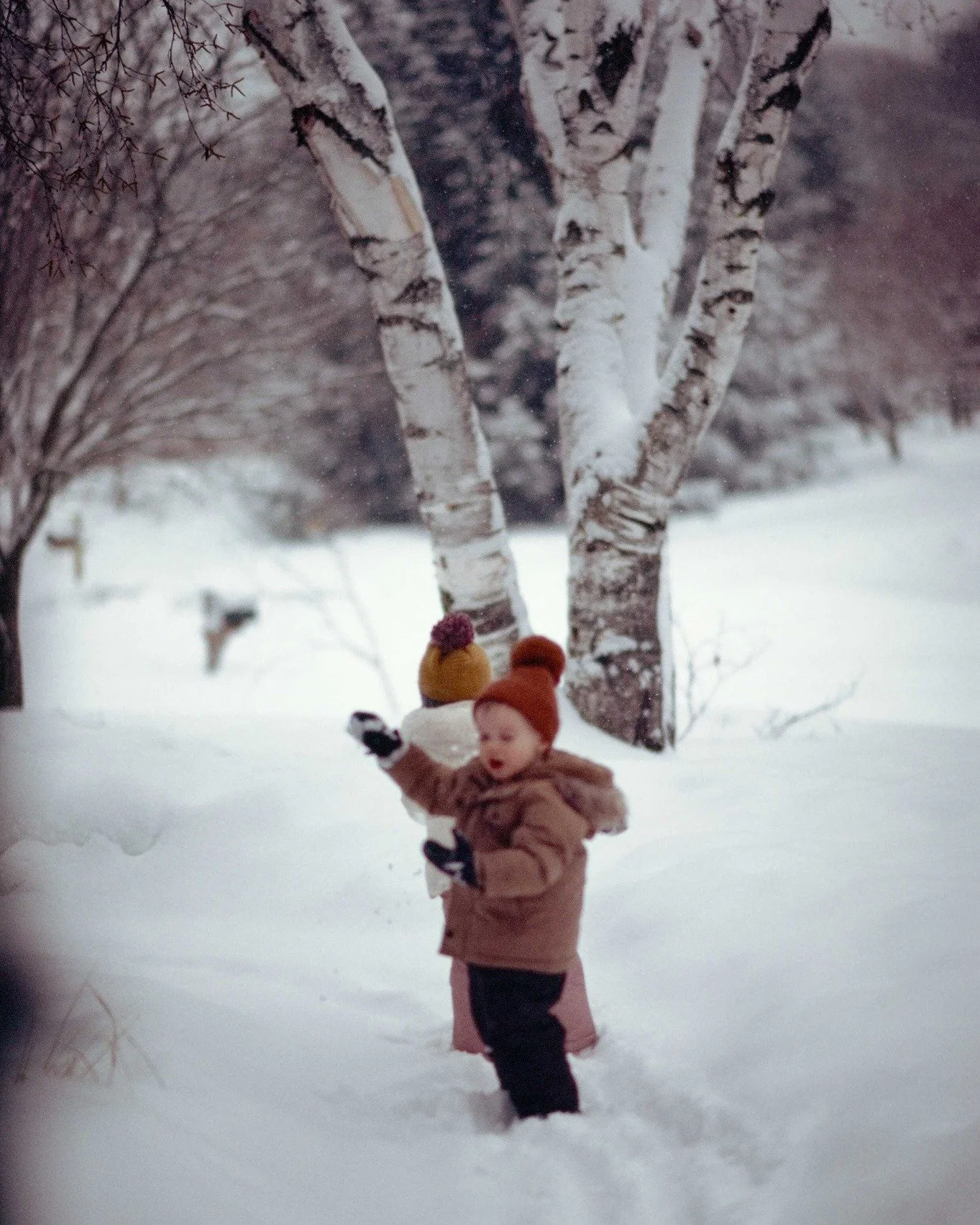 I&rsquo;ve never seen so much
snow, he exclaims.

His words pierce
the impossible quiet,
the stillness I soak in,
as I gaze down the silent street,
taking deep, cold breaths
that burn my lungs.

His eyes are wide,
snowflakes stuck
to his lashes,
chee