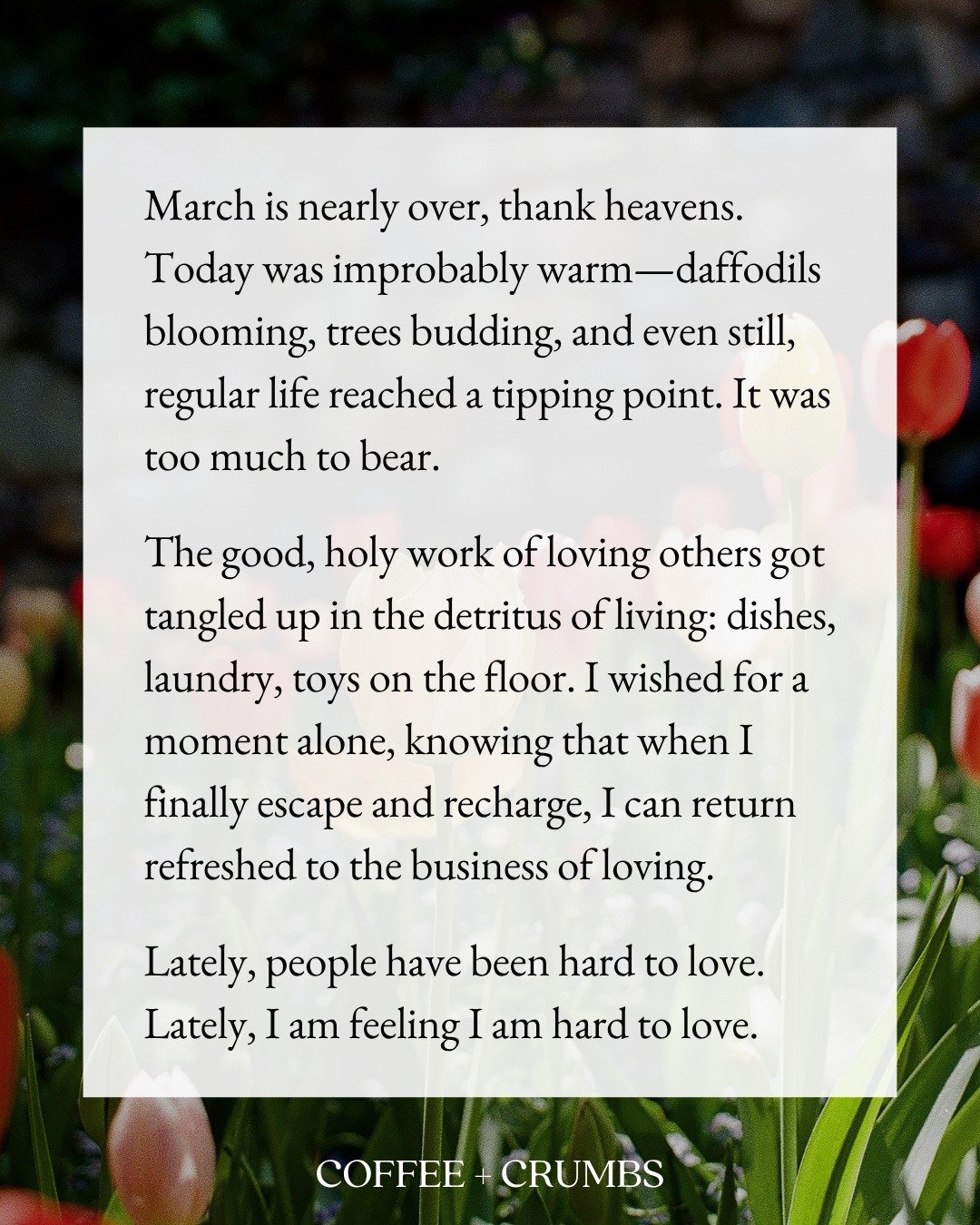 March is nearly over, thank heavens. Today was improbably warm&mdash;daffodils blooming, trees budding, and even still, regular life reached a tipping point. It was too much to bear. 

The good, holy work of loving others got tangled up in the detrit