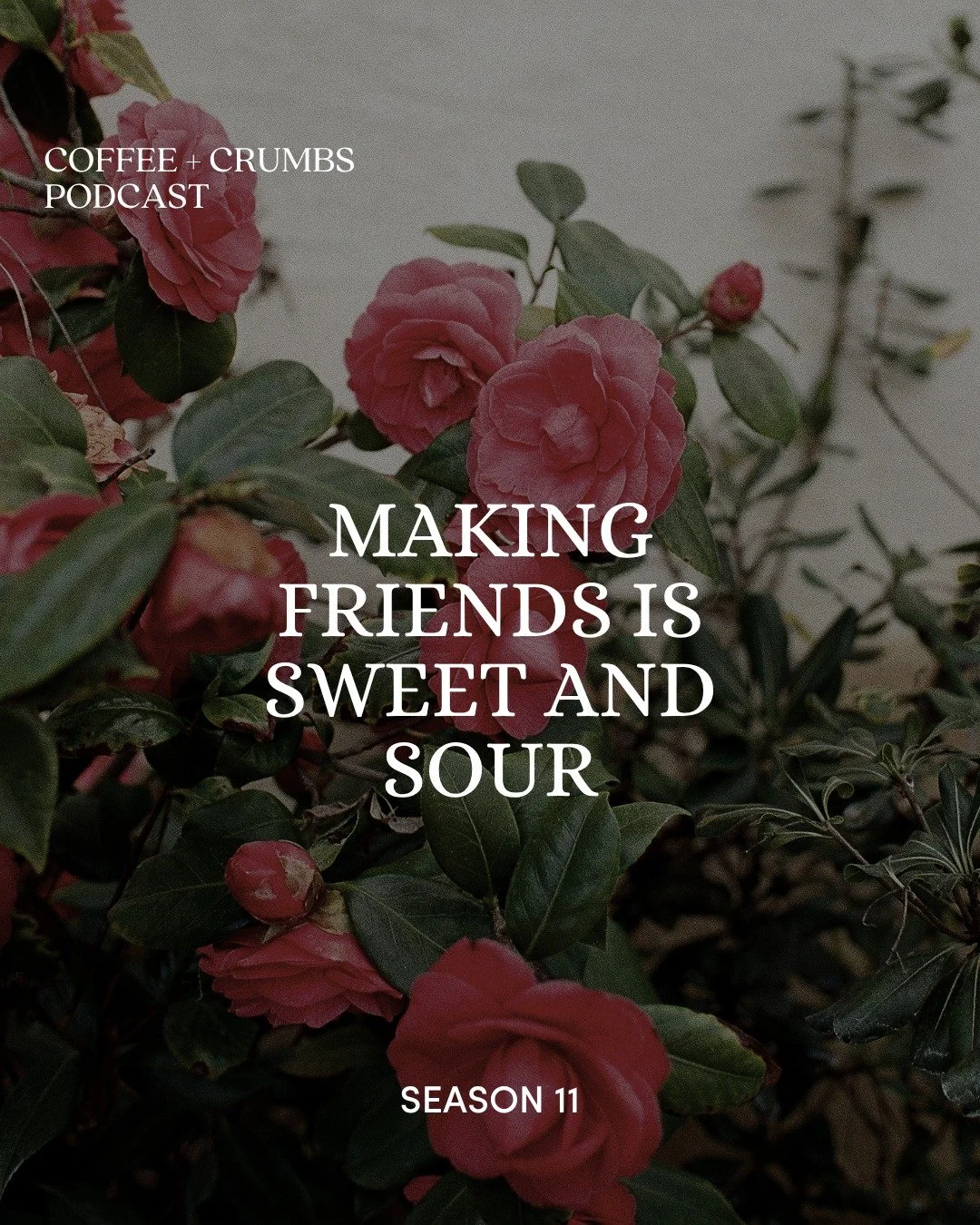 Making friends has never been easy. And nobody talks about that enough. 🤍

For some of us, it was hard as kids. And if we're being honest? It's still hard now.

In today's new episode 🎙️, we're sitting down with You're in Good Company contributor @