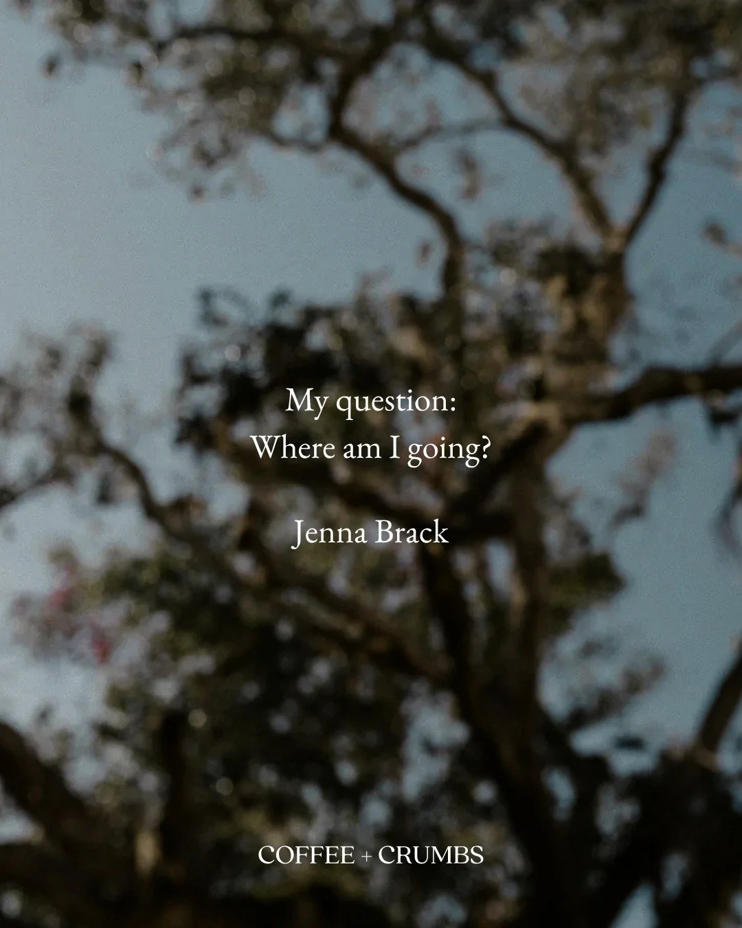 &ldquo;I always imagine you on a quest,&rdquo; my therapist tells me during one of our sessions.

I laugh, picturing myself sitting on a horse in the middle of the city, with a knight&rsquo;s shield in one hand and a diaper bag full of wipes and snac