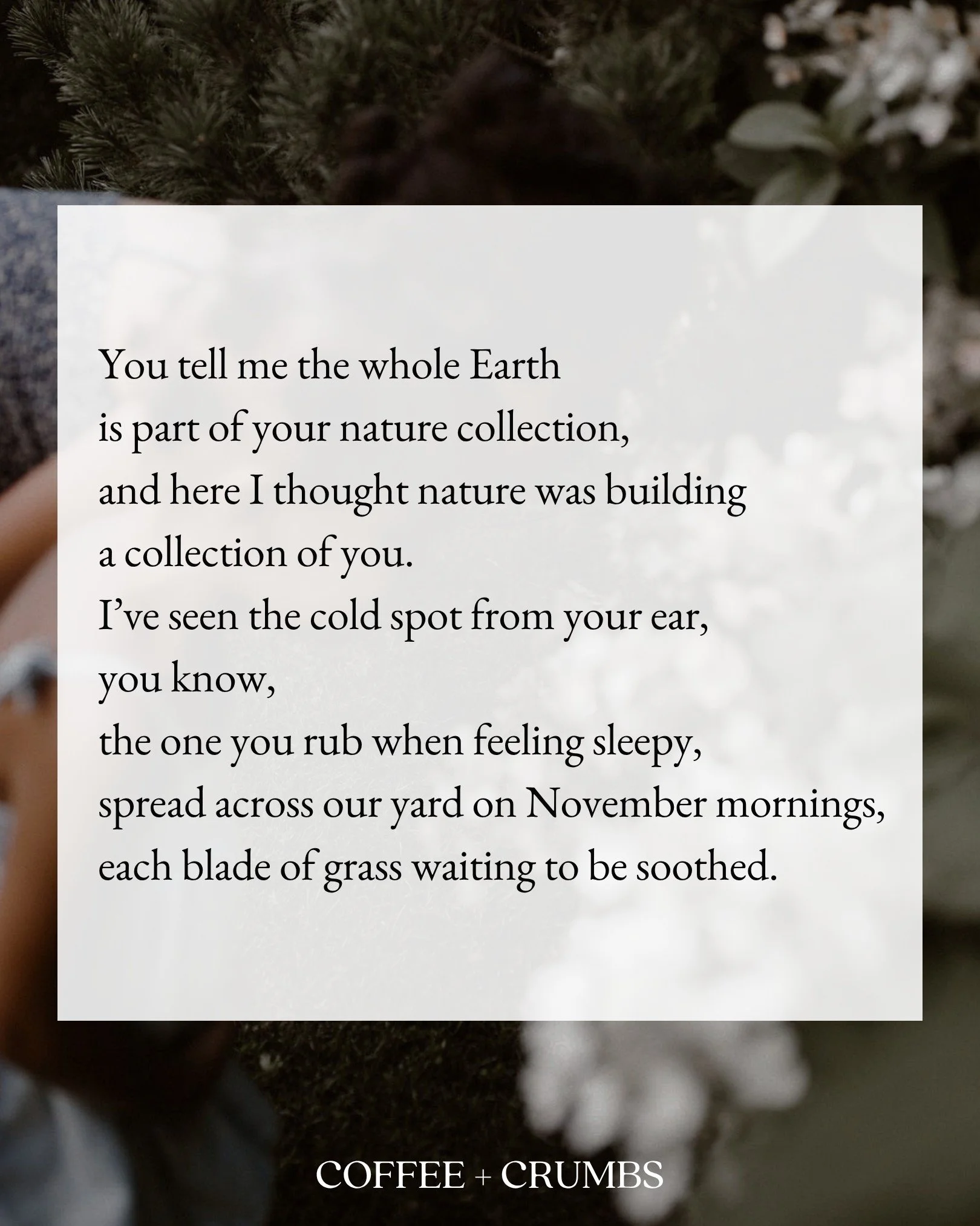 You tell me the whole Earth
is part of your nature collection,
and here I thought nature was building
a collection of you.
I&rsquo;ve seen the cold spot from your ear,
you know,
the one you rub when feeling sleepy,
spread across our yard on November 