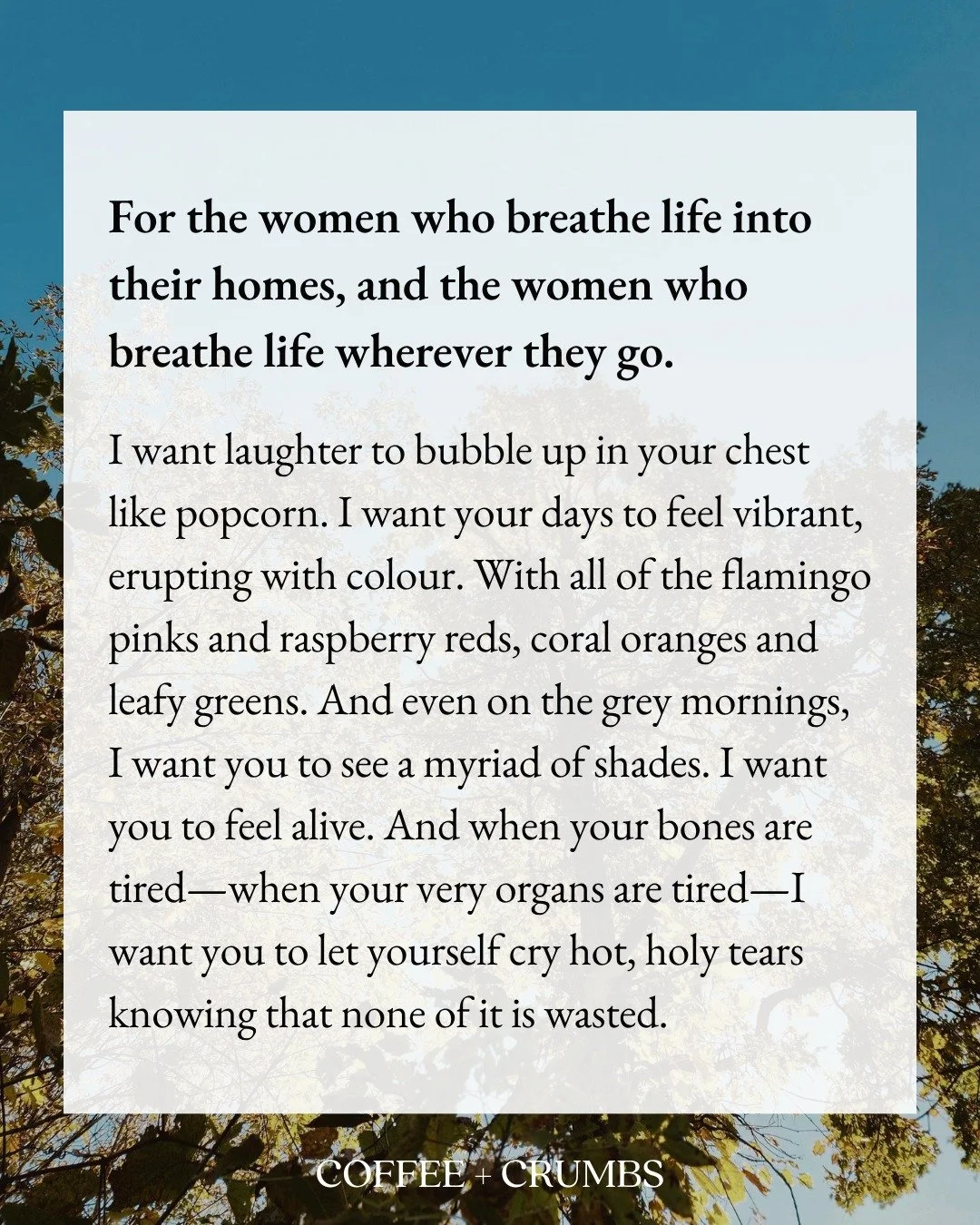 For the women who breathe life into their homes, and the women who breathe life wherever they go.

I want laughter to bubble up in your chest like popcorn. I want your days to feel vibrant, erupting with colour. With all of the flamingo pinks and ras