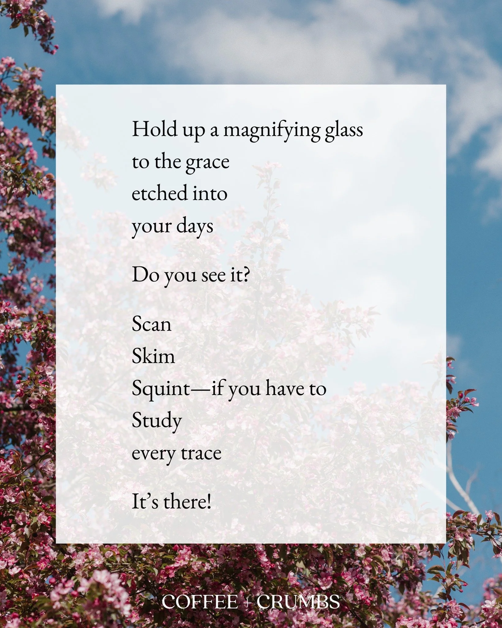 Hold up a magnifying glass
to the grace
etched into
your days

Do you see it?

Scan
Skim
Squint&mdash;if you have to
Study
every trace

It&rsquo;s there!

It may seem small
(maybe that&rsquo;s the point:
we have to find it)

A seed
that&rsquo;s sprou