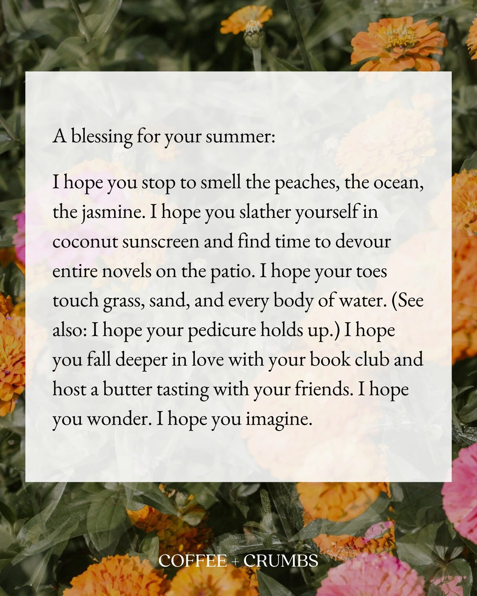 A blessing for your summer:

I hope you stop to smell the peaches, the ocean, the jasmine. I hope you slather yourself in coconut sunscreen and find time to devour entire novels on the patio. I hope your toes touch grass, sand, and every body of wate
