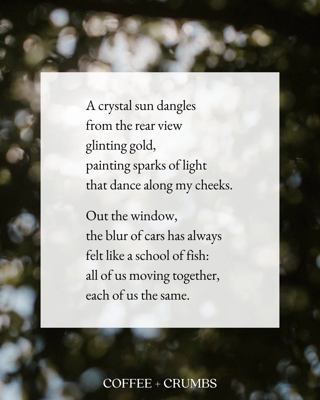 A crystal sun dangles
from the rear view
glinting gold,
painting sparks of light
that dance along my cheeks.

Out the window,
the blur of cars has always
felt like a school of fish:
all of us moving together,
each of us the same.

Today I only wonder