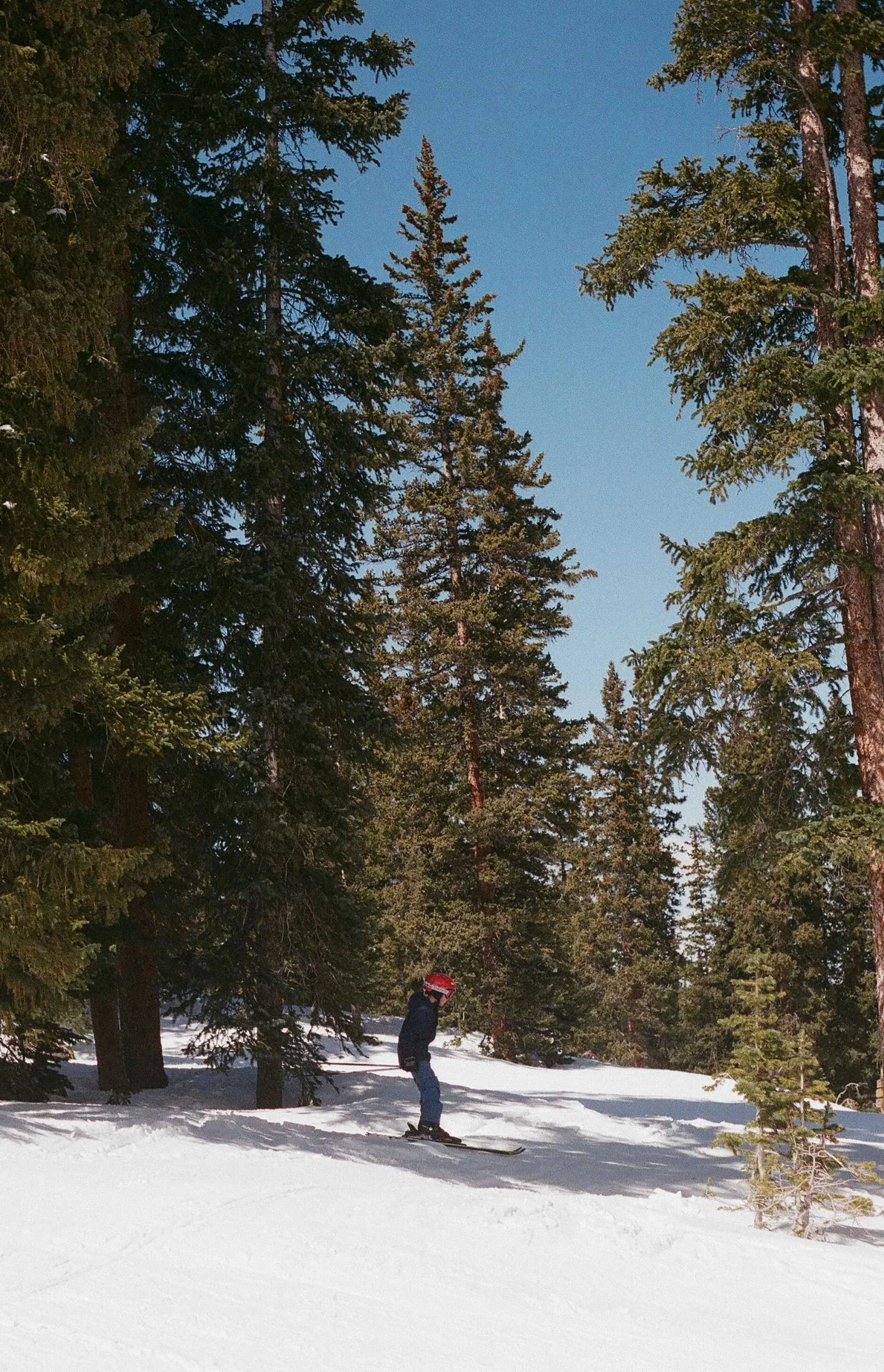 842640010036.jpg