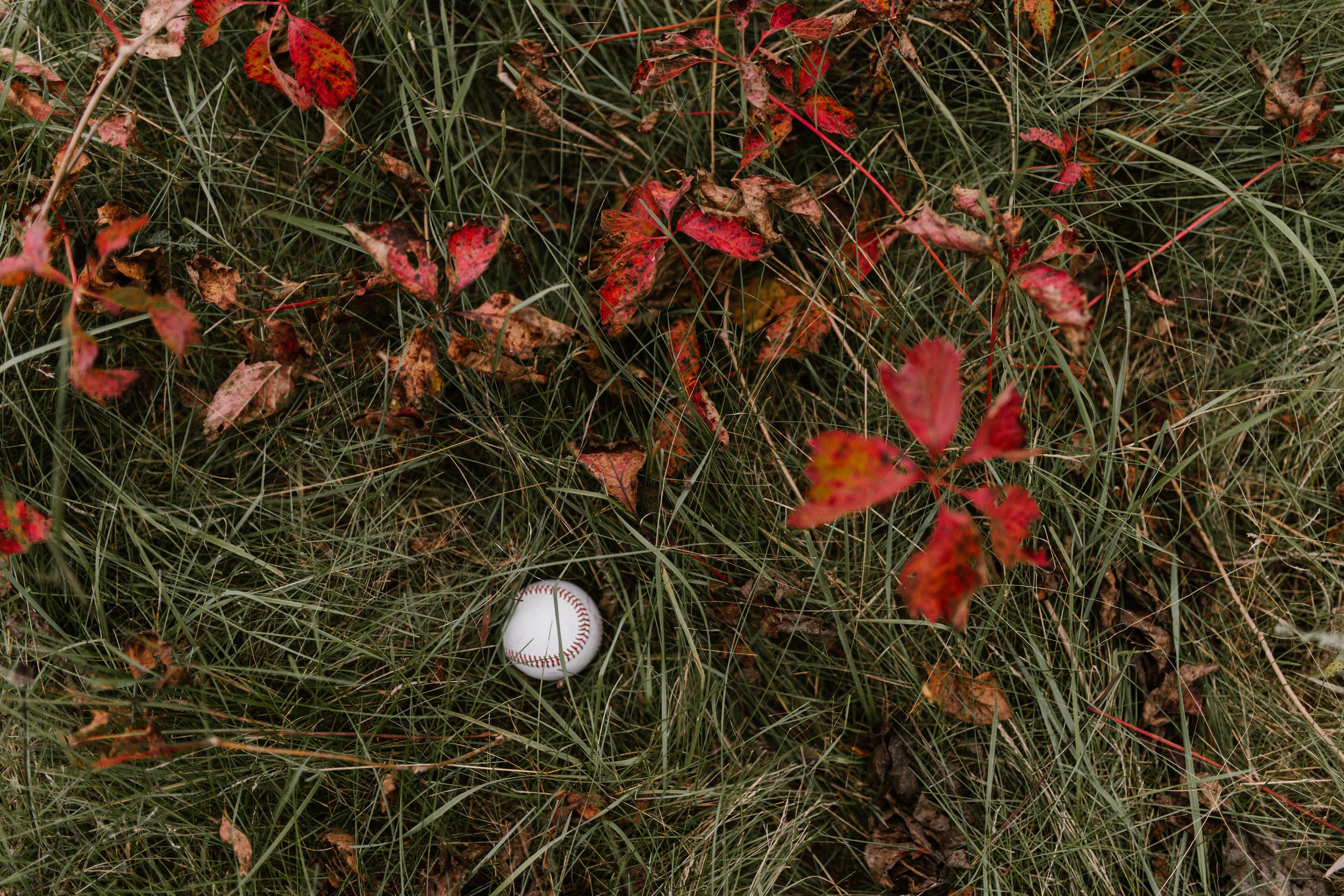 DSC_2855.jpg