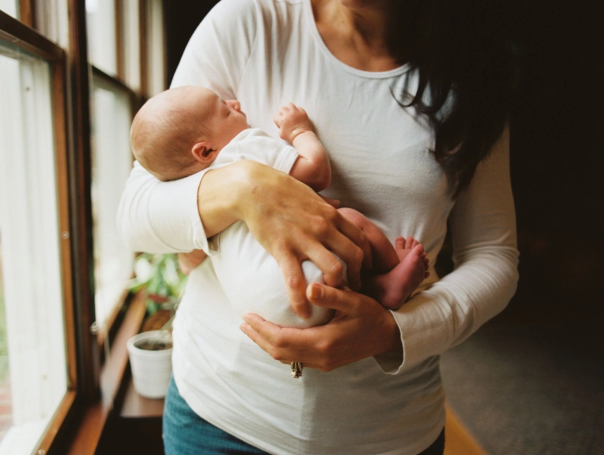 Protective Instincts — Coffee + Crumbs
