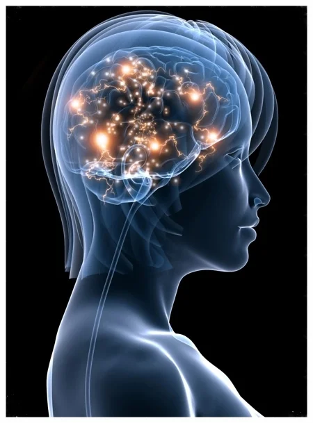 Therapeutic hypnosis is effective because it establishes and strengthens new neurological pathways associated with desired behavior and abilities.