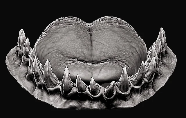 Stripe_WIP_Mouthb.jpg