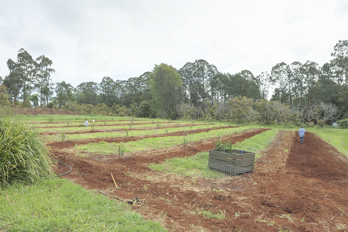 IMG_1876 as Smart Object-2.jpg