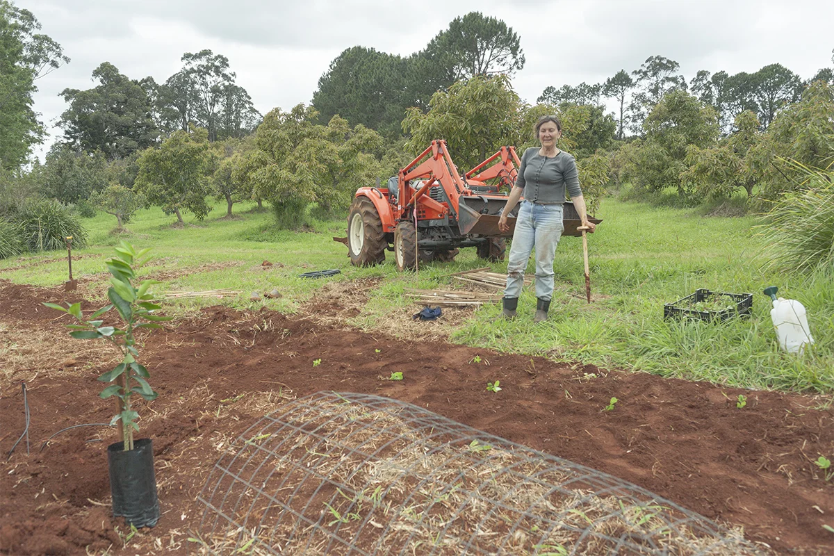 IMG_1865 as Smart Object-1.jpg