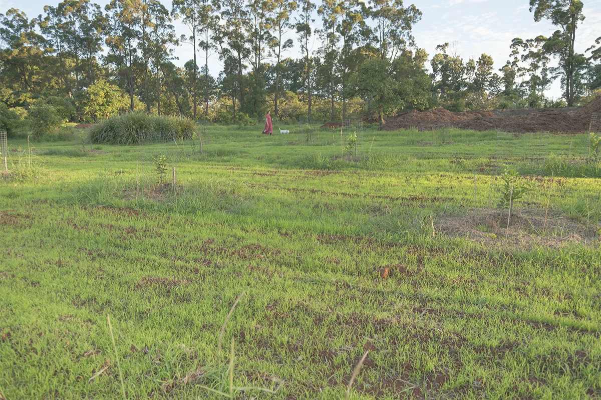 IMG_2412 as Smart Object-2.jpg